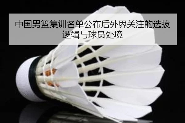 中国男篮集训名单公布后外界关注的选拔逻辑与球员处境
