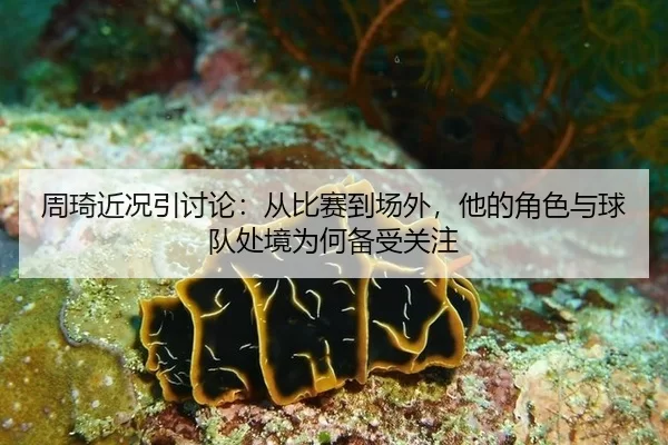 周琦近况引讨论：从比赛到场外，他的角色与球队处境为何备受关注